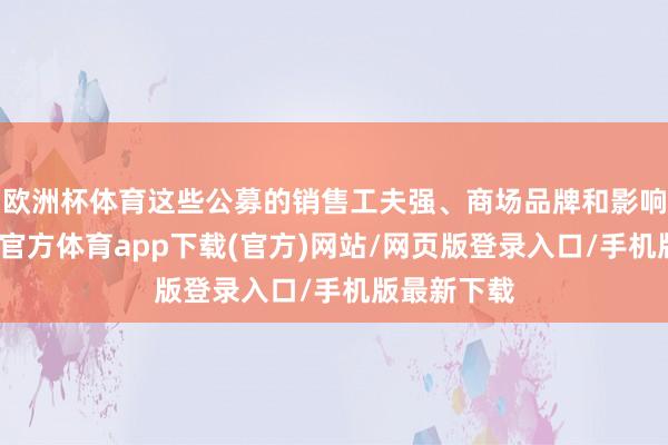 欧洲杯体育这些公募的销售工夫强、商场品牌和影响力大-世博官方体育app下载(官方)网站/网页版登录入口/手机版最新下载