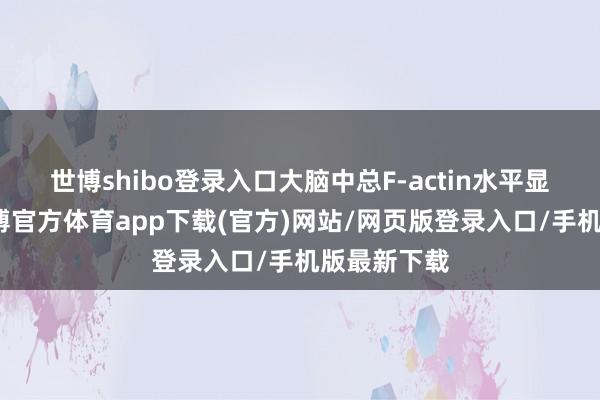 世博shibo登录入口大脑中总F-actin水平显耀加多-世博官方体育app下载(官方)网站/网页版登录入口/手机版最新下载