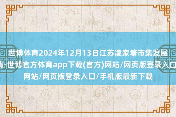 世博体育2024年12月13日江苏凌家塘市集发展有限公司价钱行情-世博官方体育app下载(官方)网站/网页版登录入口/手机版最新下载