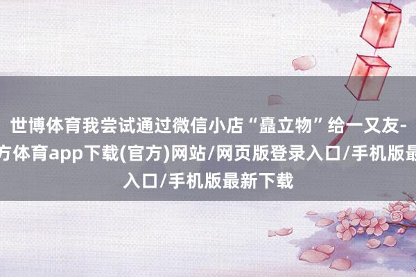 世博体育我尝试通过微信小店“矗立物”给一又友-世博官方体育app下载(官方)网站/网页版登录入口/手机版最新下载