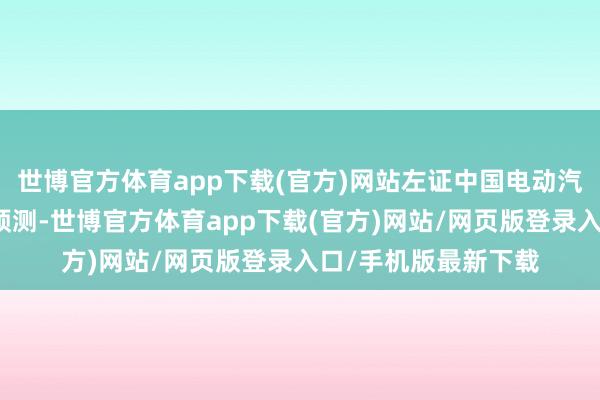 世博官方体育app下载(官方)网站左证中国电动汽车百东谈主会最新预测-世博官方体育app下载(官方)网站/网页版登录入口/手机版最新下载