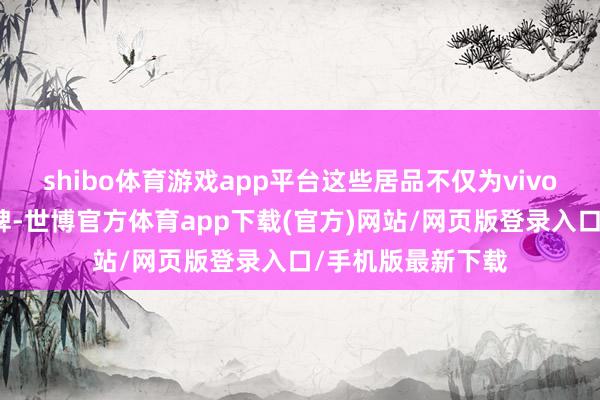 shibo体育游戏app平台这些居品不仅为vivo赢得了精致的口碑-世博官方体育app下载(官方)网站/网页版登录入口/手机版最新下载