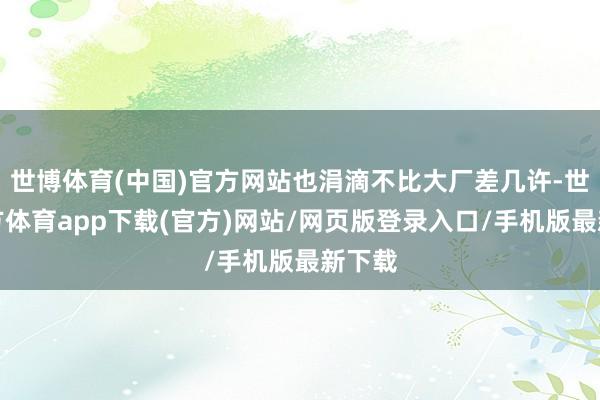 世博体育(中国)官方网站也涓滴不比大厂差几许-世博官方体育app下载(官方)网站/网页版登录入口/手机版最新下载