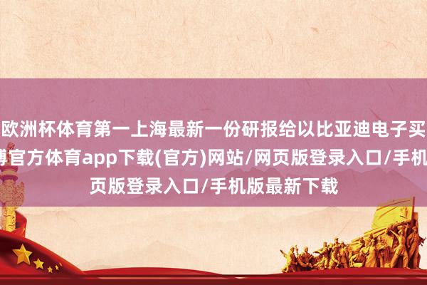 欧洲杯体育第一上海最新一份研报给以比亚迪电子买入评级-世博官方体育app下载(官方)网站/网页版登录入口/手机版最新下载