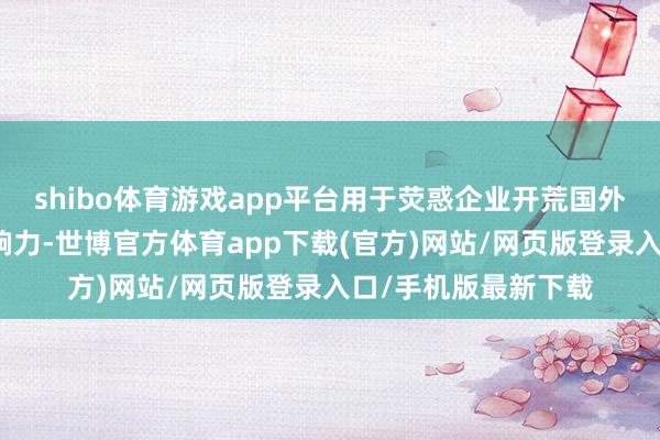 shibo体育游戏app平台用于荧惑企业开荒国外市集和扩大国际影响力-世博官方体育app下载(官方)网站/网页版登录入口/手机版最新下载