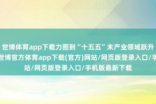 世博体育app下载力图到“十五五”末产业领域跃升至2000亿元-世博官方体育app下载(官方)网站/网页版登录入口/手机版最新下载
