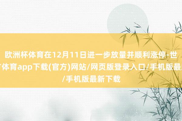 欧洲杯体育在12月11日进一步放量并顺利涨停-世博官方体育app下载(官方)网站/网页版登录入口/手机版最新下载