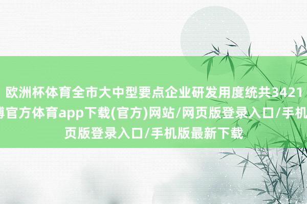欧洲杯体育全市大中型要点企业研发用度统共3421.3亿元-世博官方体育app下载(官方)网站/网页版登录入口/手机版最新下载