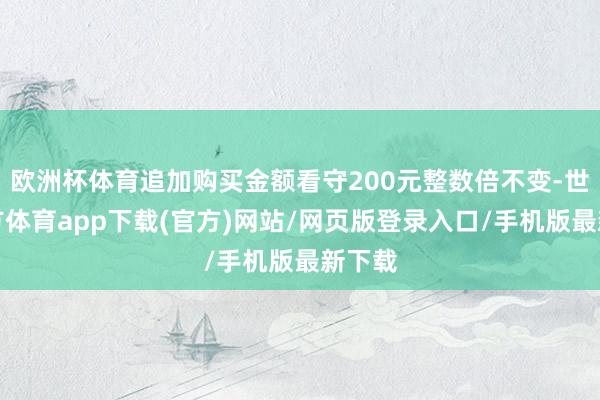 欧洲杯体育追加购买金额看守200元整数倍不变-世博官方体育app下载(官方)网站/网页版登录入口/手机版最新下载